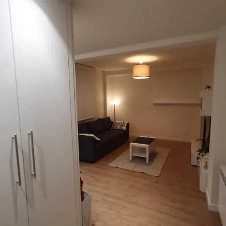 Auditorio Vicele - 2 Hab Y Sofa-cama - Wifi - Vut-3692-as Apartment Oviedo